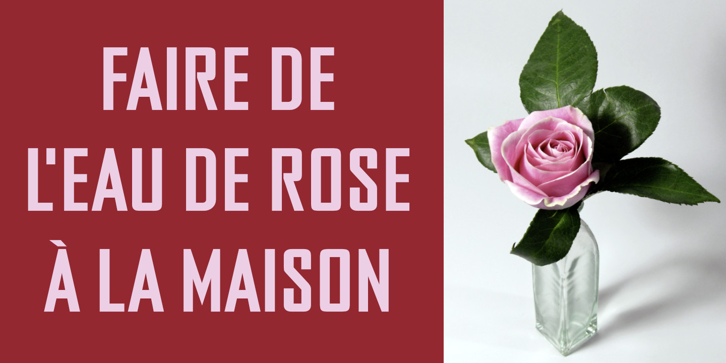 Rose Water