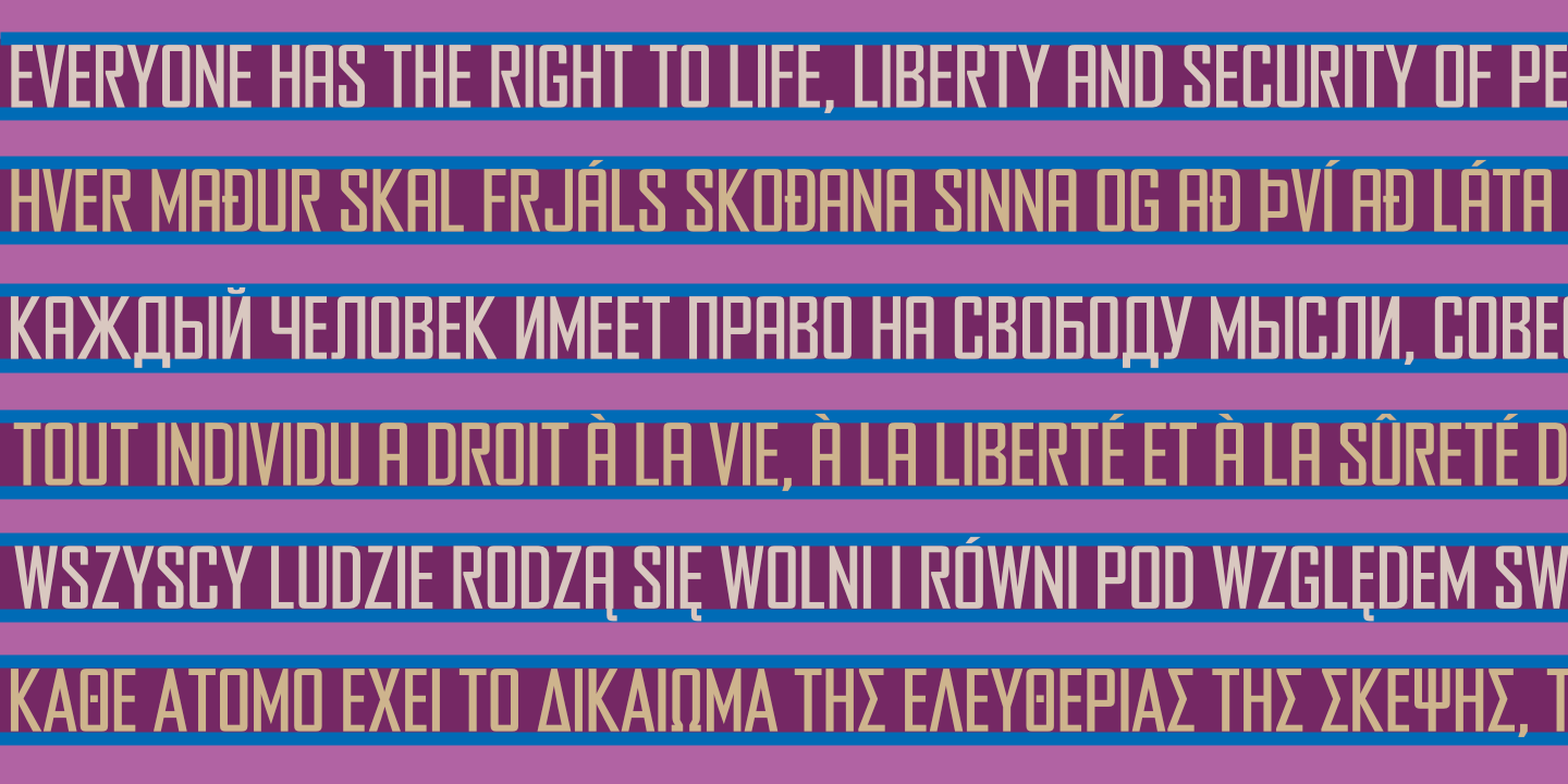 UDHR
