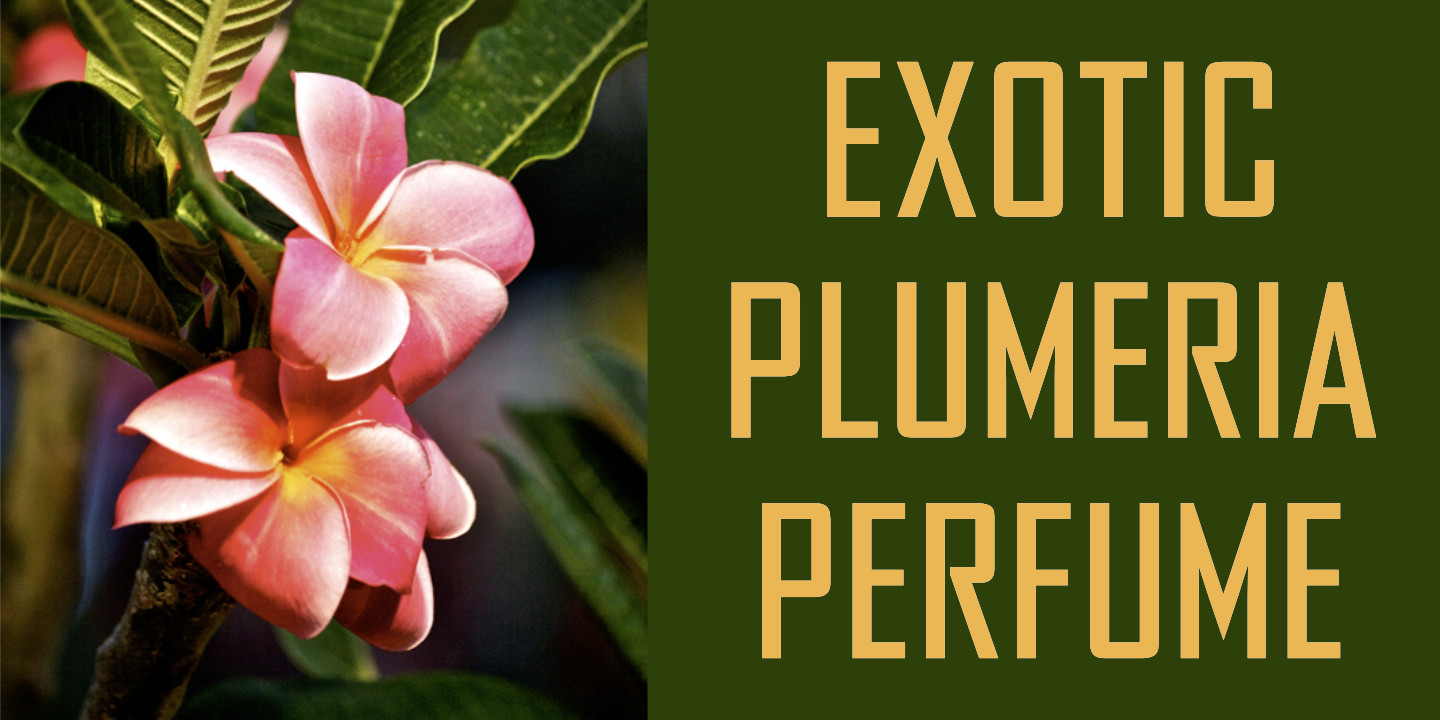 Plumeria