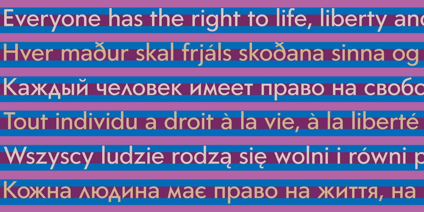 United Nations Declaration of Human Rights