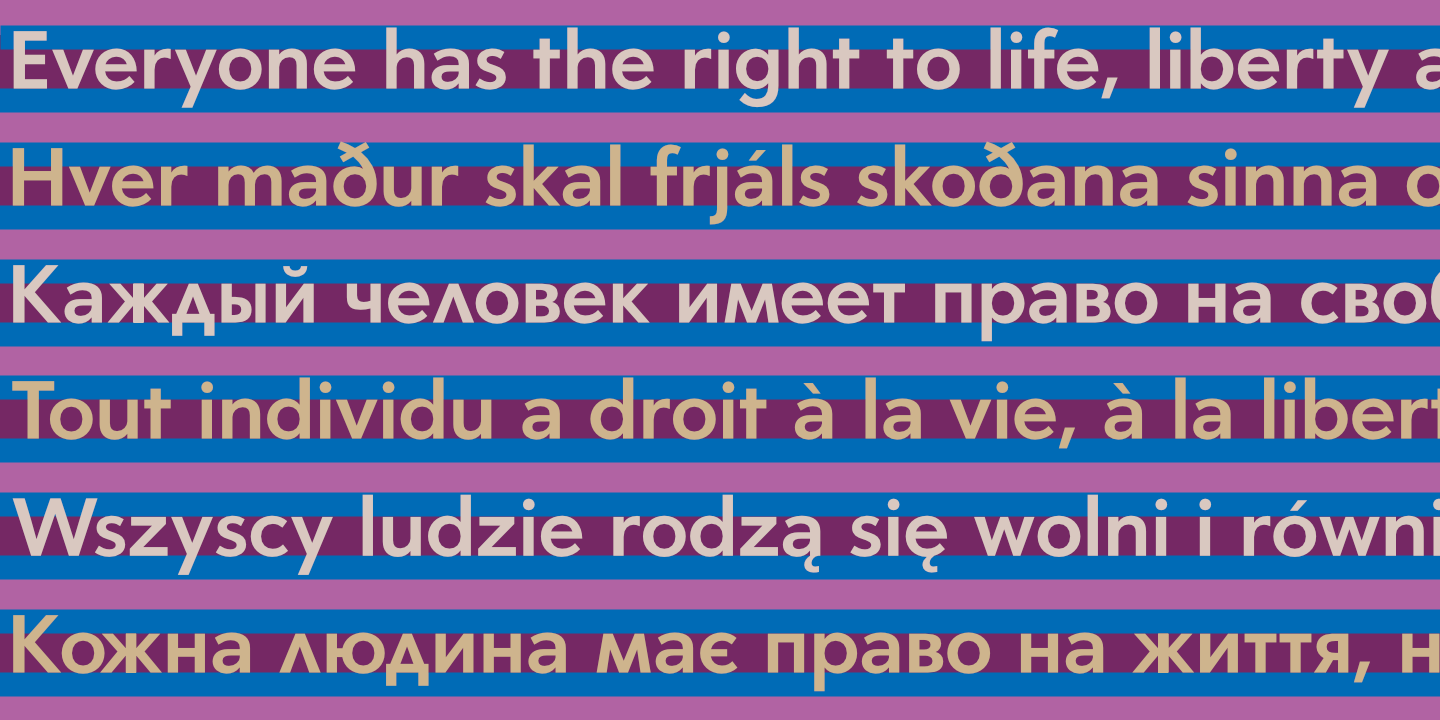 UDHR