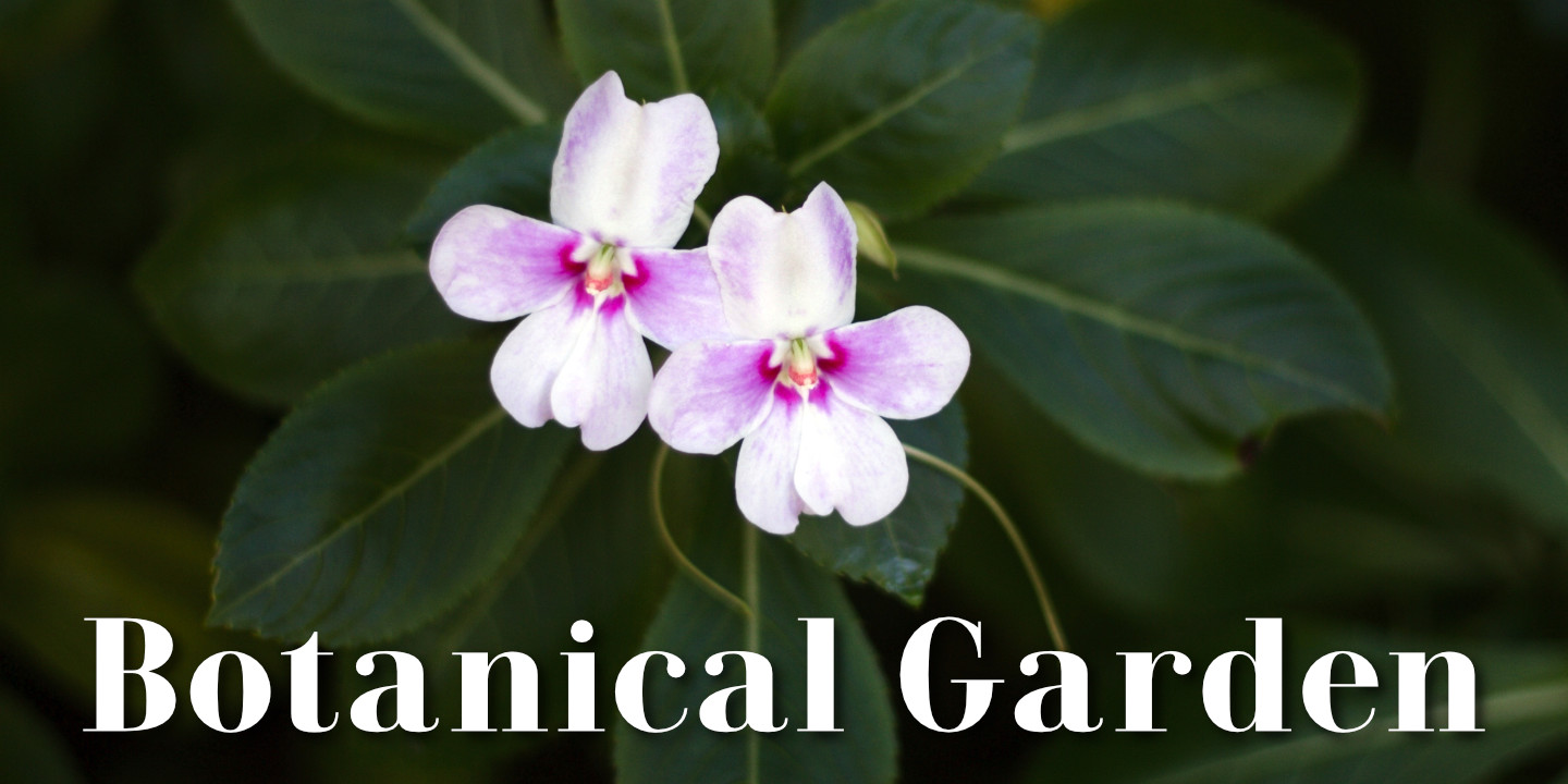 Botanical Garden
