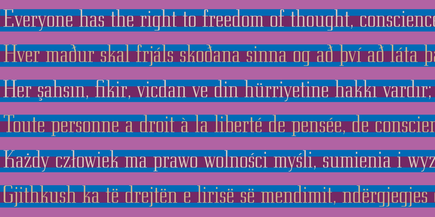 UDHR