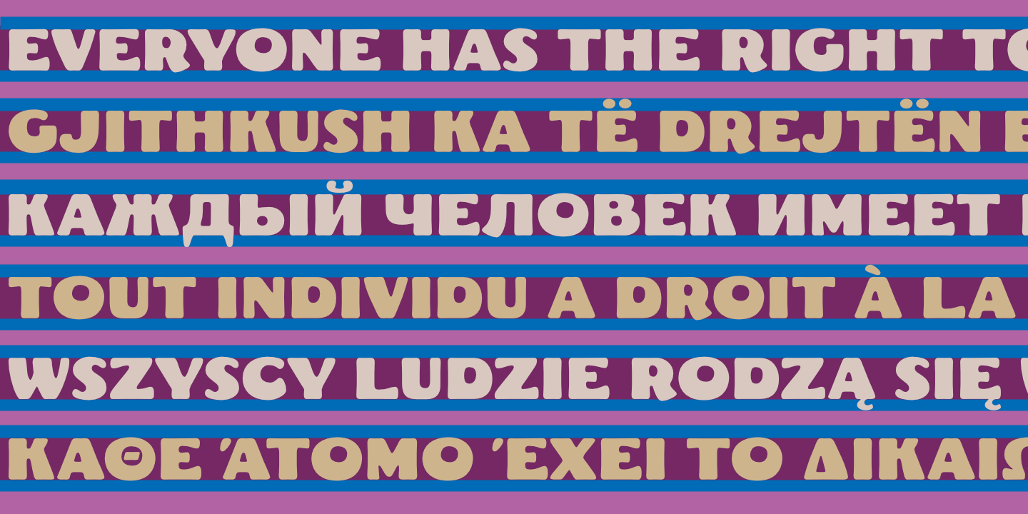 UDHR