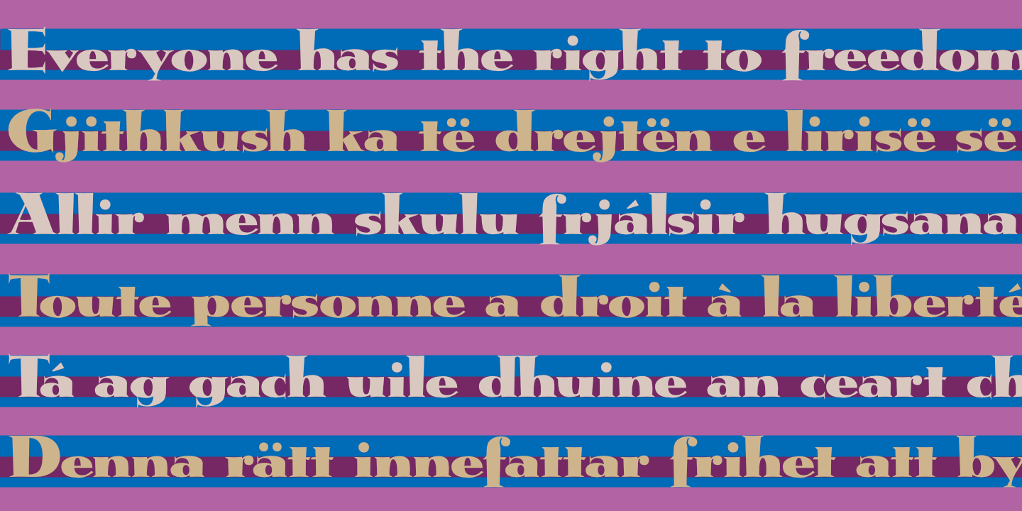 UDHR