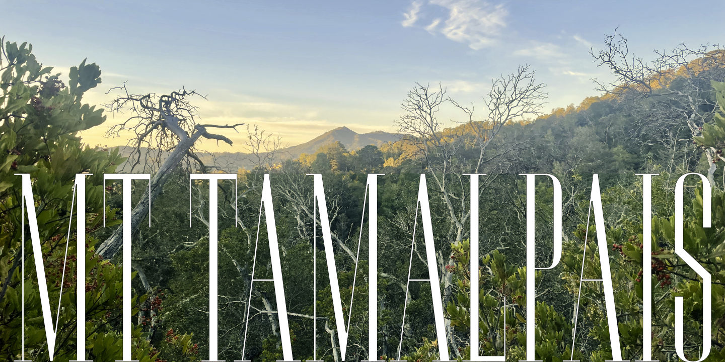 Mt Tamalpais