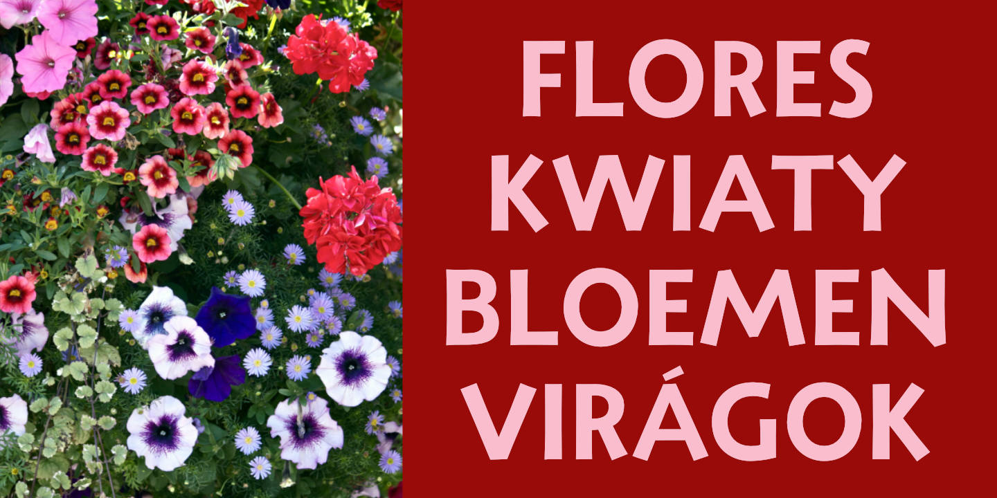 Flower Basket