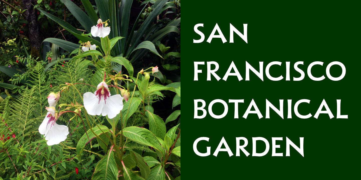 SF Botanical Garden